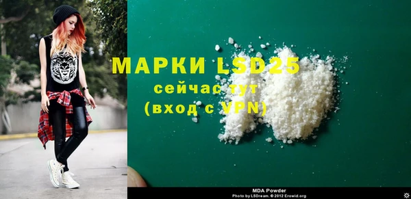 шишки Няндома