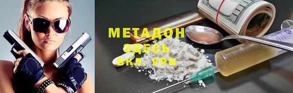 шишки Няндома