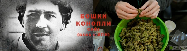 шишки Няндома