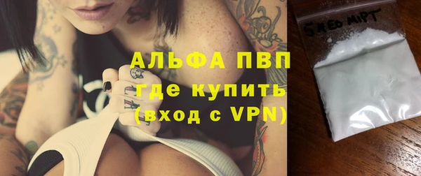 шишки Няндома