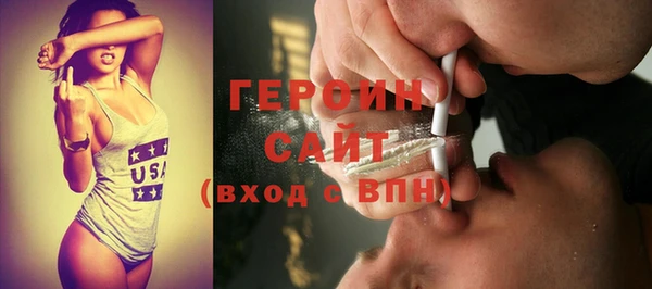 шишки Няндома