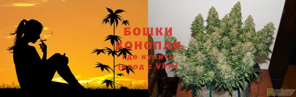 шишки Няндома