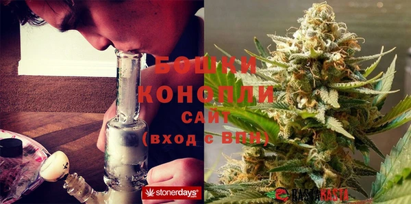 шишки Няндома