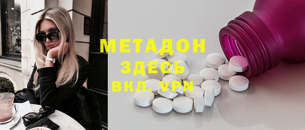 шишки Няндома