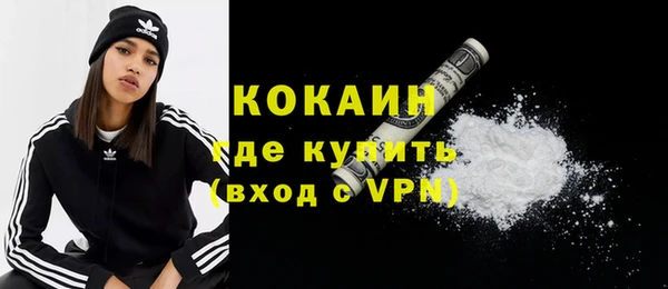шишки Няндома