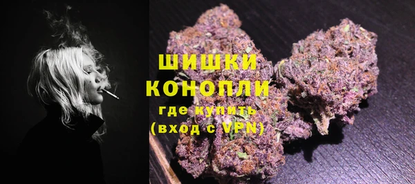 шишки Няндома