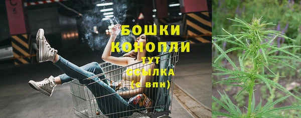 шишки Няндома