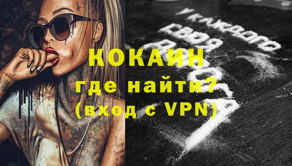 шишки Няндома