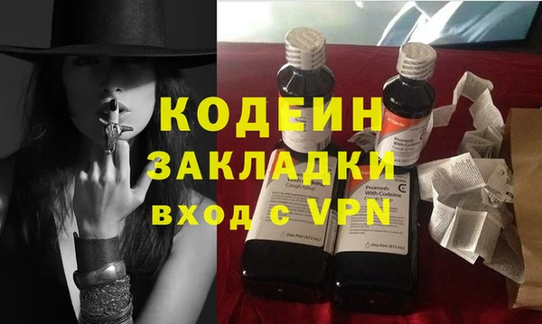 шишки Няндома