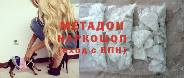 шишки Няндома
