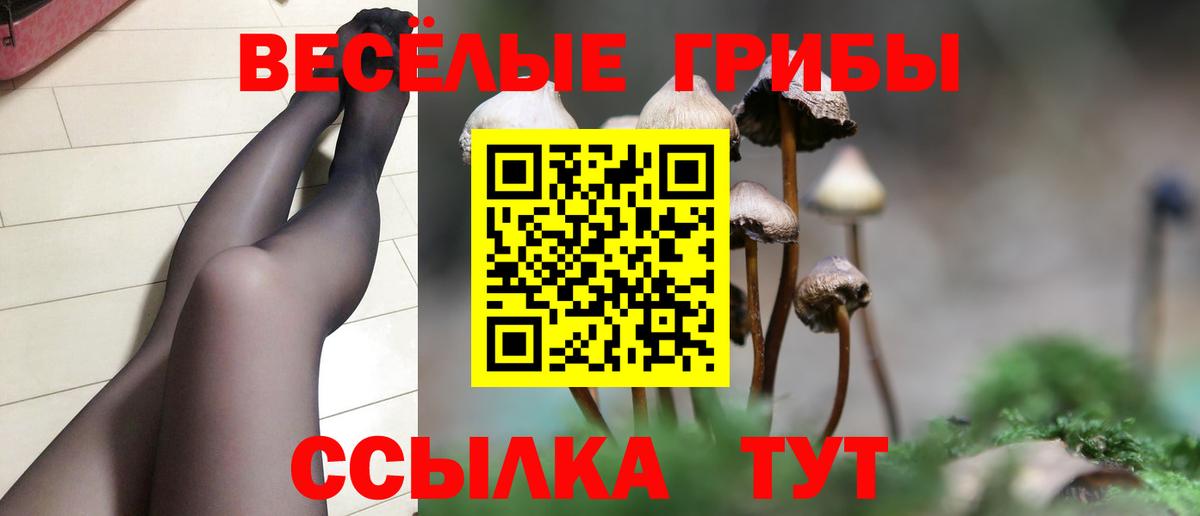 купить наркотик  Псилоцибиновые грибы GOLDEN TEACHER  Белогорск  Псилоцибиновые грибы MAGIC MUSHROOMS 