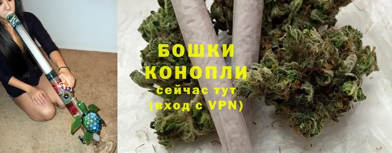 Шишки марихуана OG Kush  Белогорск 